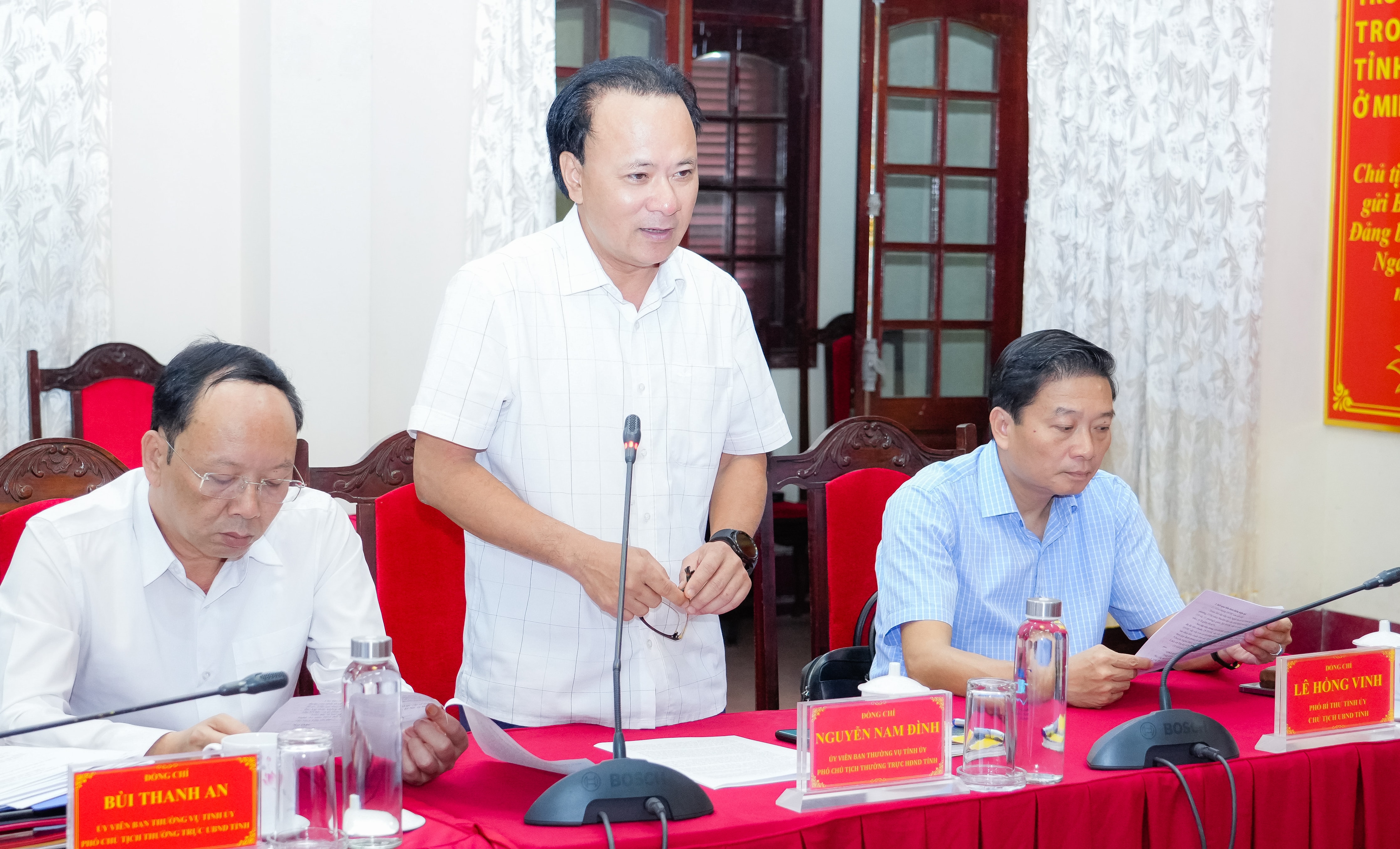 Đồng chí Nguyễn Nam Đình - Ủy viên Ban Thường vụ Tỉnh ủy, Phó Chủ tịch Thường trực HĐND tỉnh phát biểu tại cuộc họp. Ảnh: Phạm Bằng